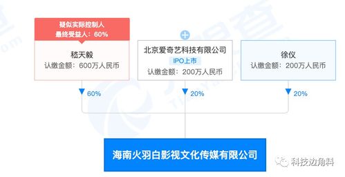 愛奇藝布局影視產業 成立海南火羽白影視公司并持股20%